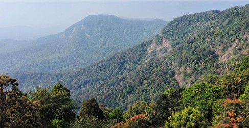 Agumbe Hills